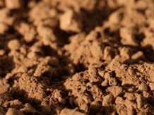 Какао-порошок алкализованный ООО  "ТСК"